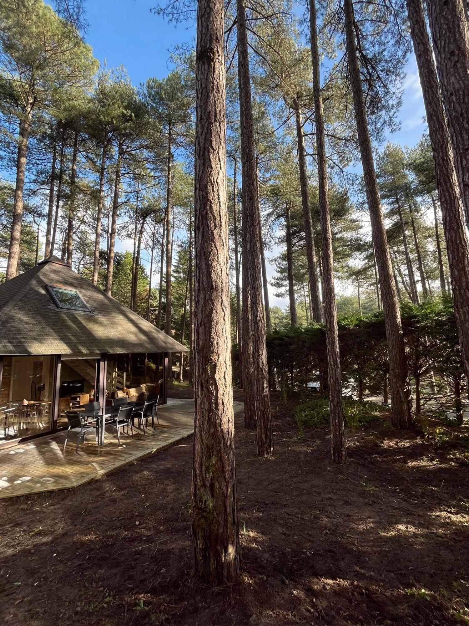 L Oree De La Pinede Hardelot Plage A 800 Metres De La Mer Sous Les Pins Exterior foto